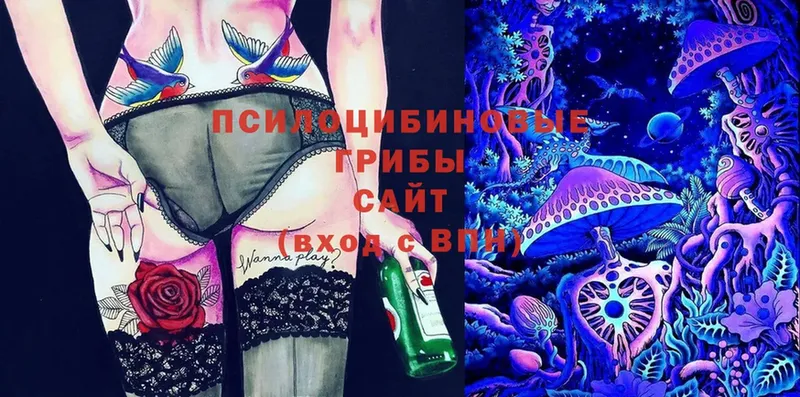 Галлюциногенные грибы Magic Shrooms  Нефтекумск 